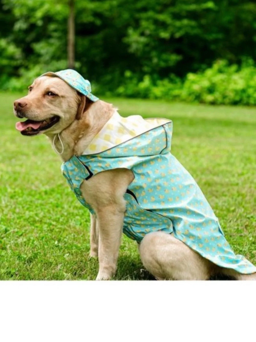 Dog Rain Coat- size XL Duck-Print